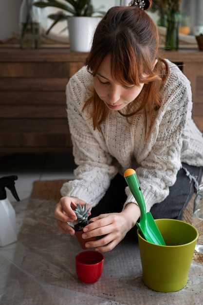 Преимущества и ограничения выращивания яблонь в горшке