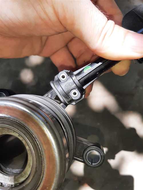 Своевременная