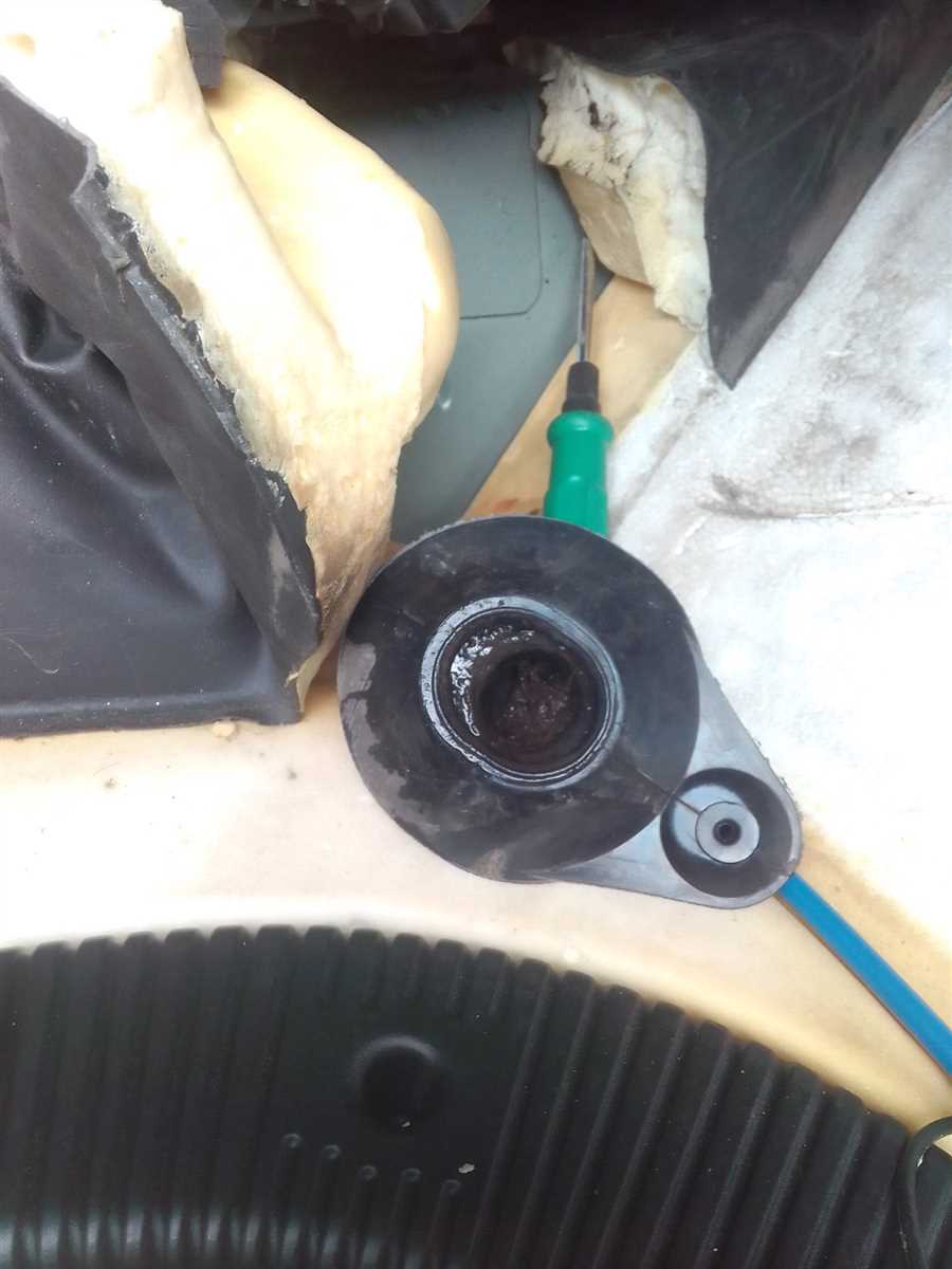 Образование